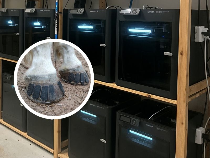 Goodsmith horse hoof article cover